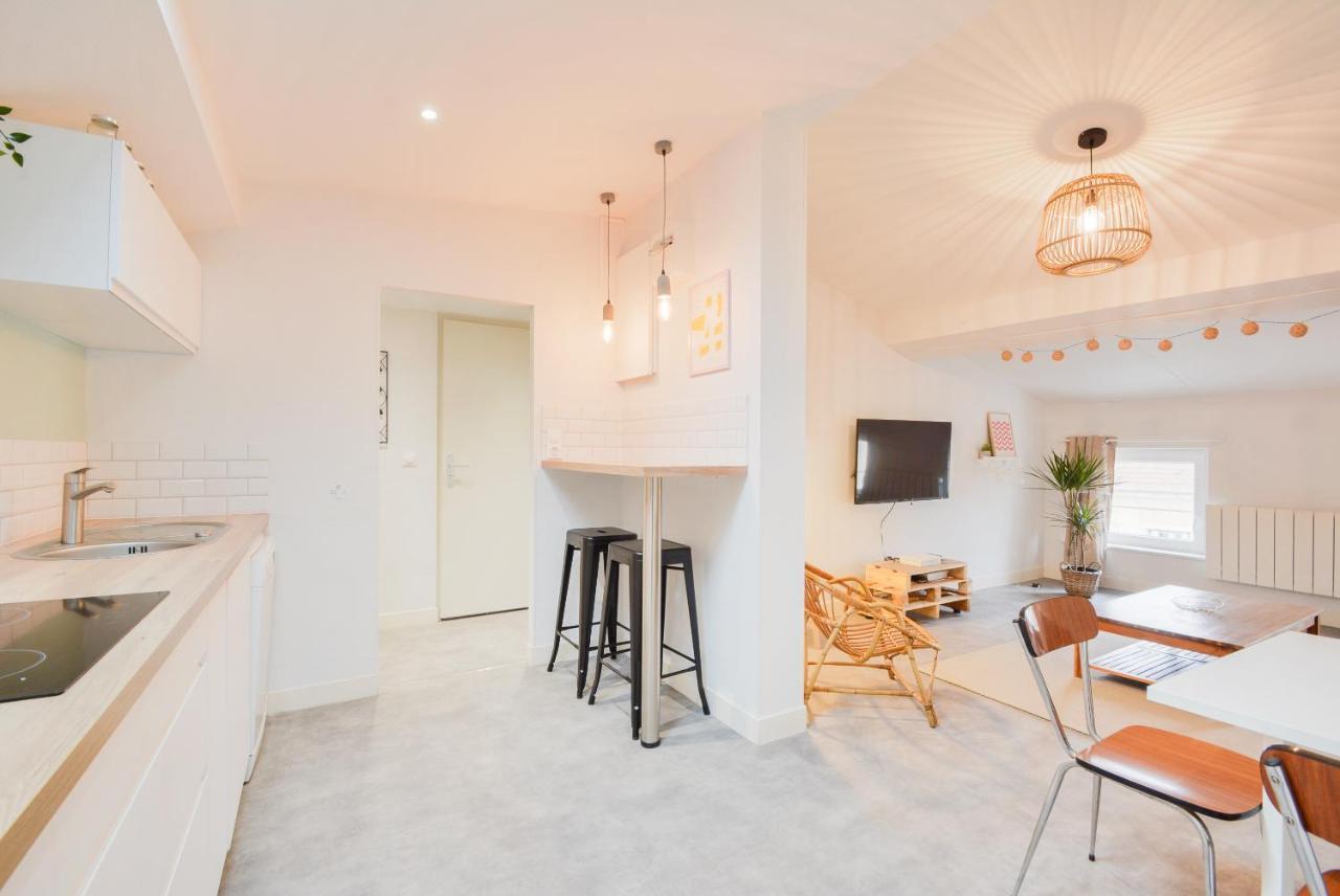 Le Toit De Poincare Apartamento Nancy Exterior foto